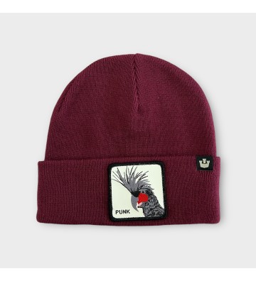 Beanie Punk