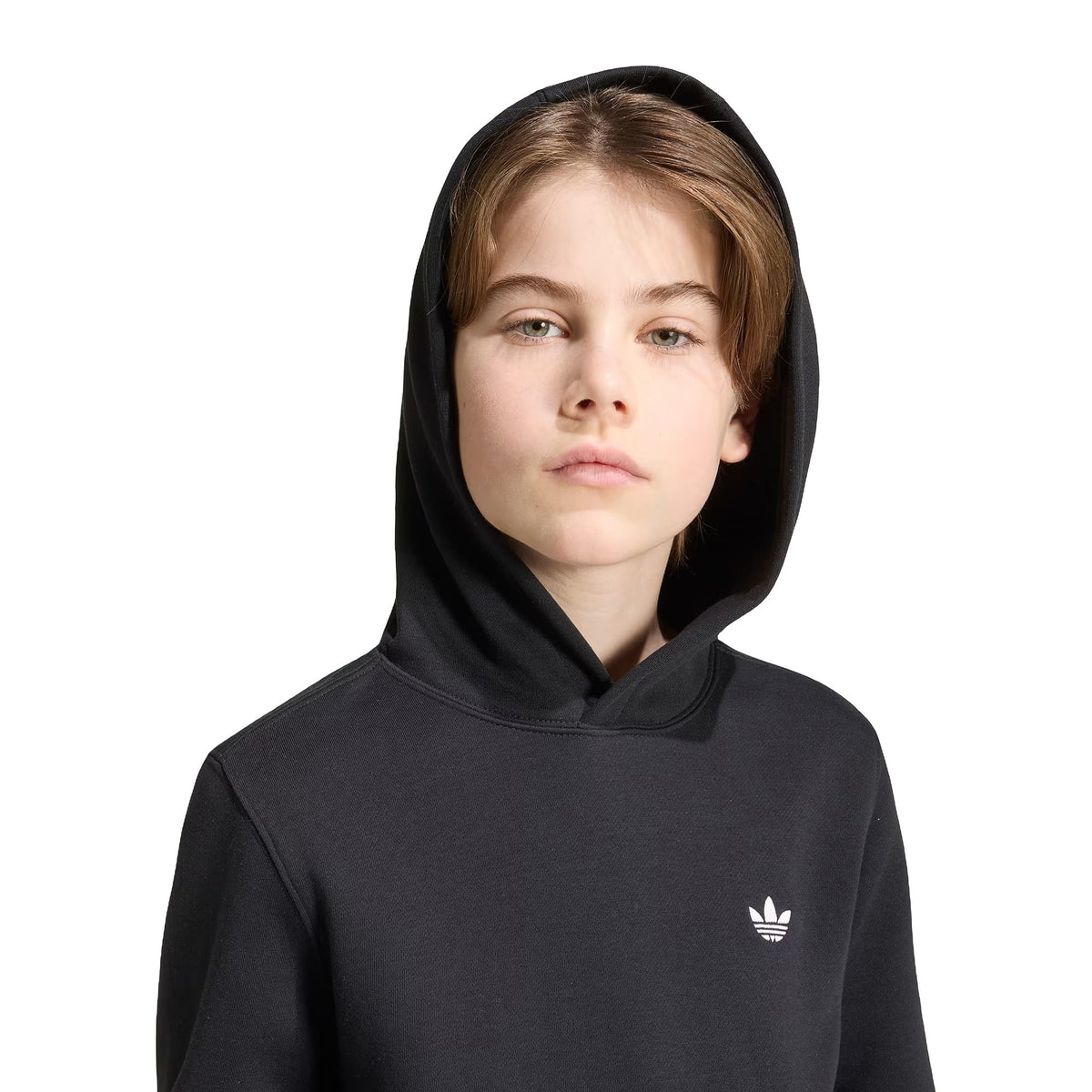 Felpe Adidas Hoodie Regular Fleece, vista 2