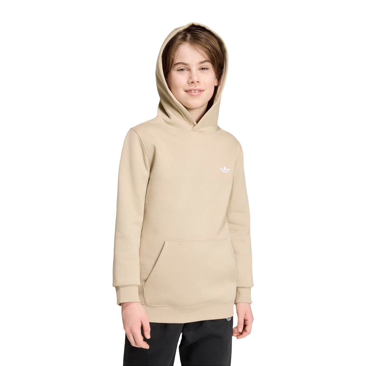 Felpe Adidas Hoodie Regular Fleece, vista 2